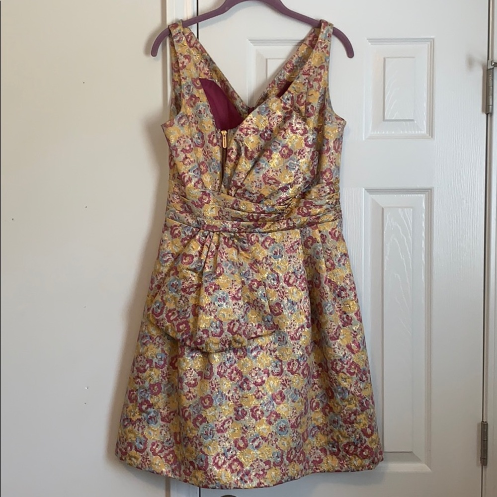 Zac Posen dress with pockets!